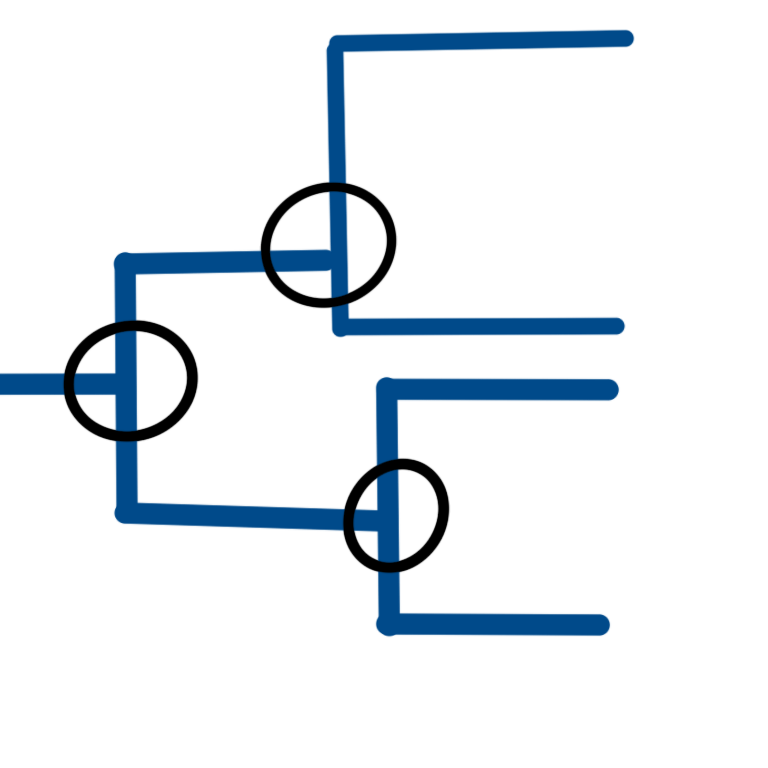 A drawing of a phylogenetic tree with circles around the spots where branches diverge.